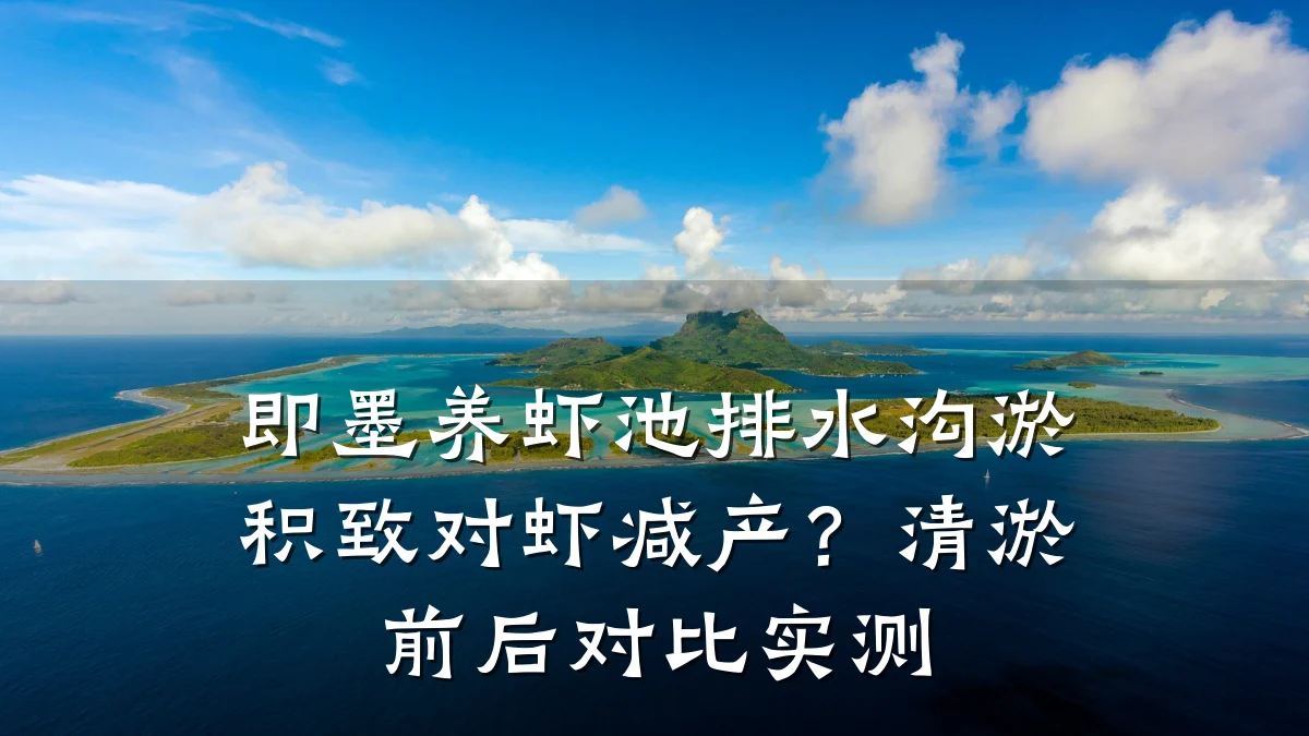 即墨养虾池排水沟淤积致对虾减产？清淤前后对比实测