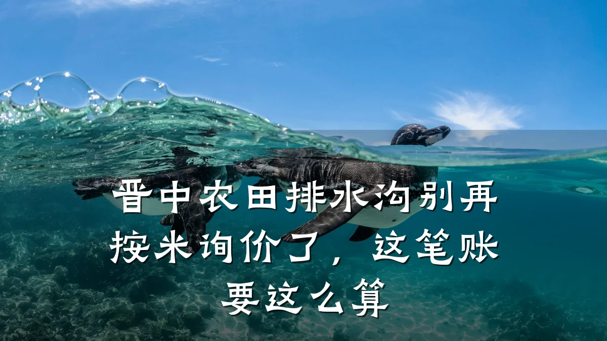 晋中农田排水沟别再按米询价了，这笔账要这么算