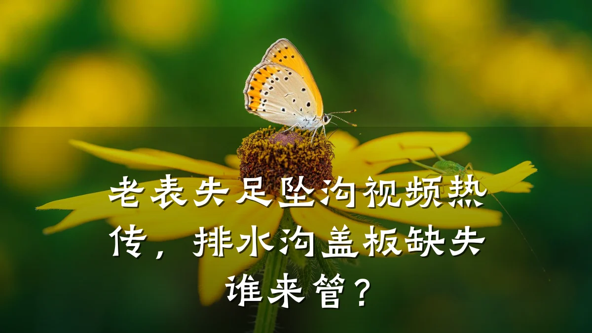 老表失足坠沟视频热传，排水沟盖板缺失谁来管？