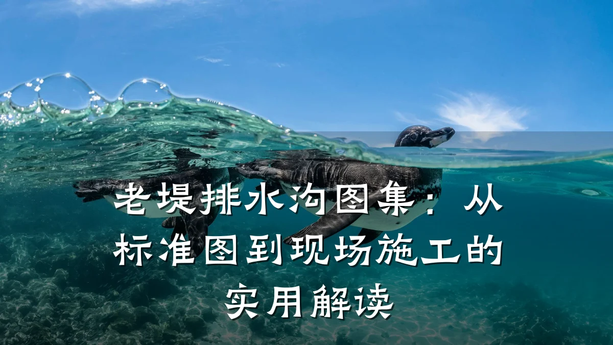 老堤排水沟图集：从标准图到现场施工的实用解读