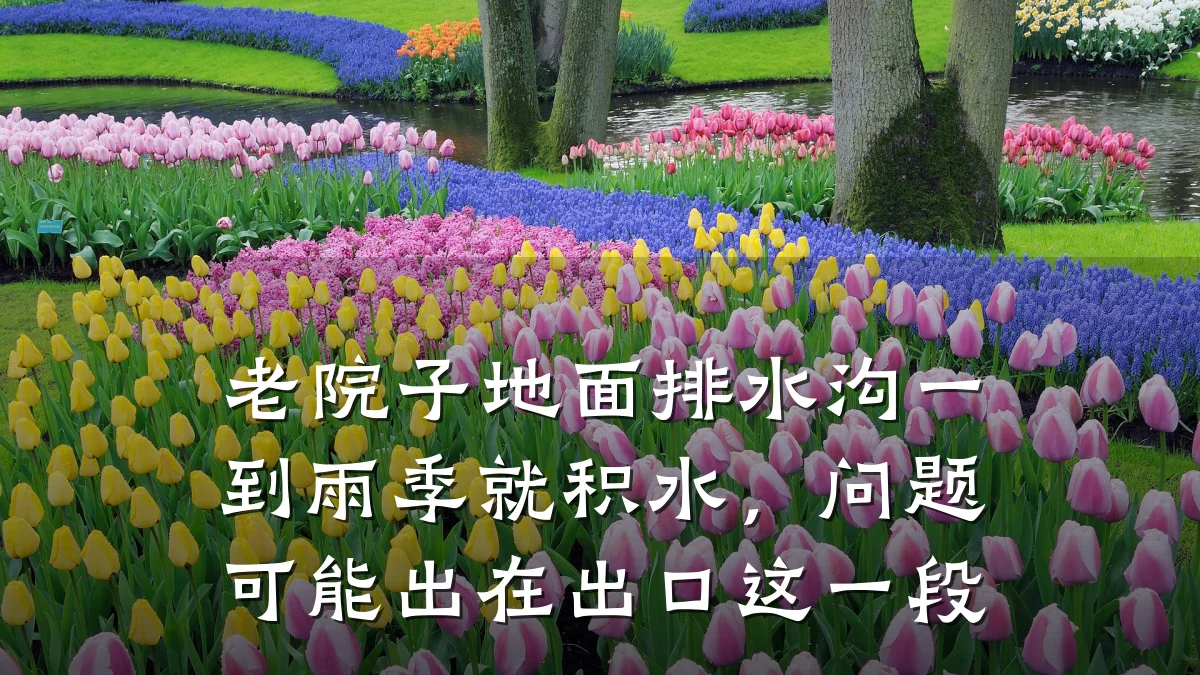 老院子地面排水沟一到雨季就积水，问题可能出在出口这一段