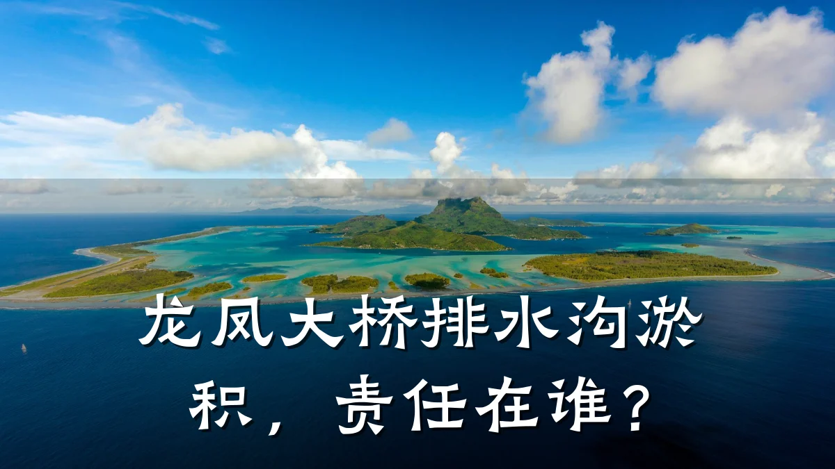 龙凤大桥排水沟淤积,责任在谁?