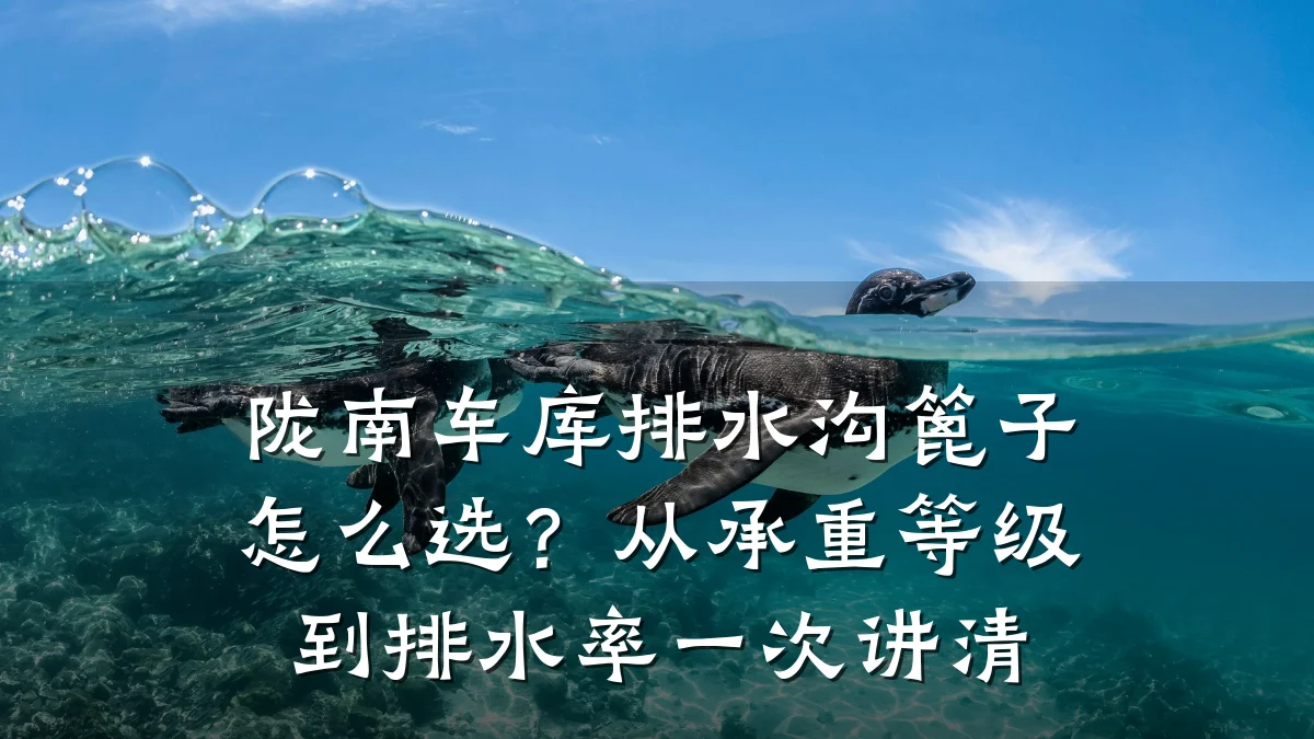 陇南车库排水沟篦子怎么选？从承重等级到排水率一次讲清