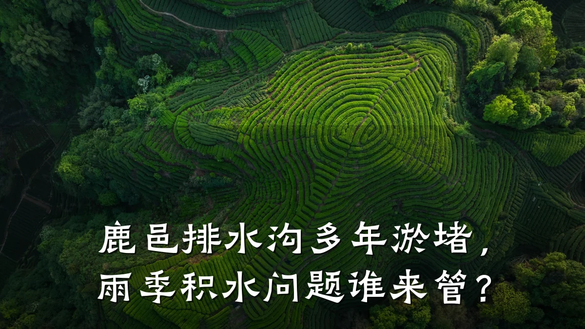 鹿邑排水沟多年淤堵，雨季积水问题谁来管？