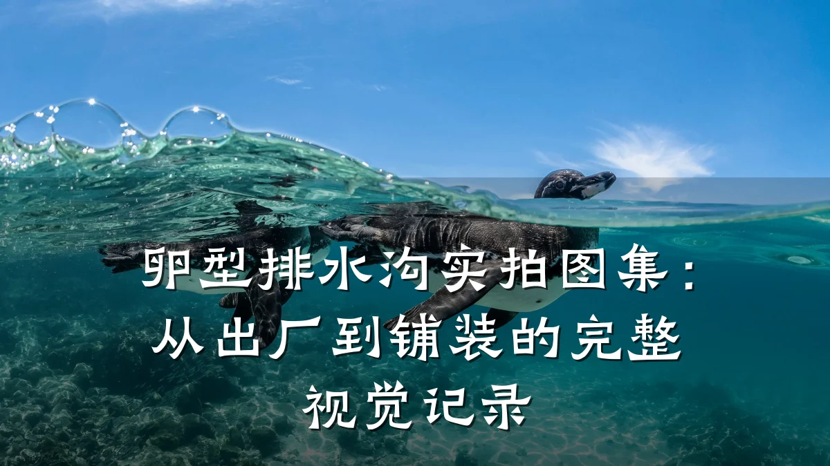 卵型排水沟实拍图集：从出厂到铺装的完整视觉记录