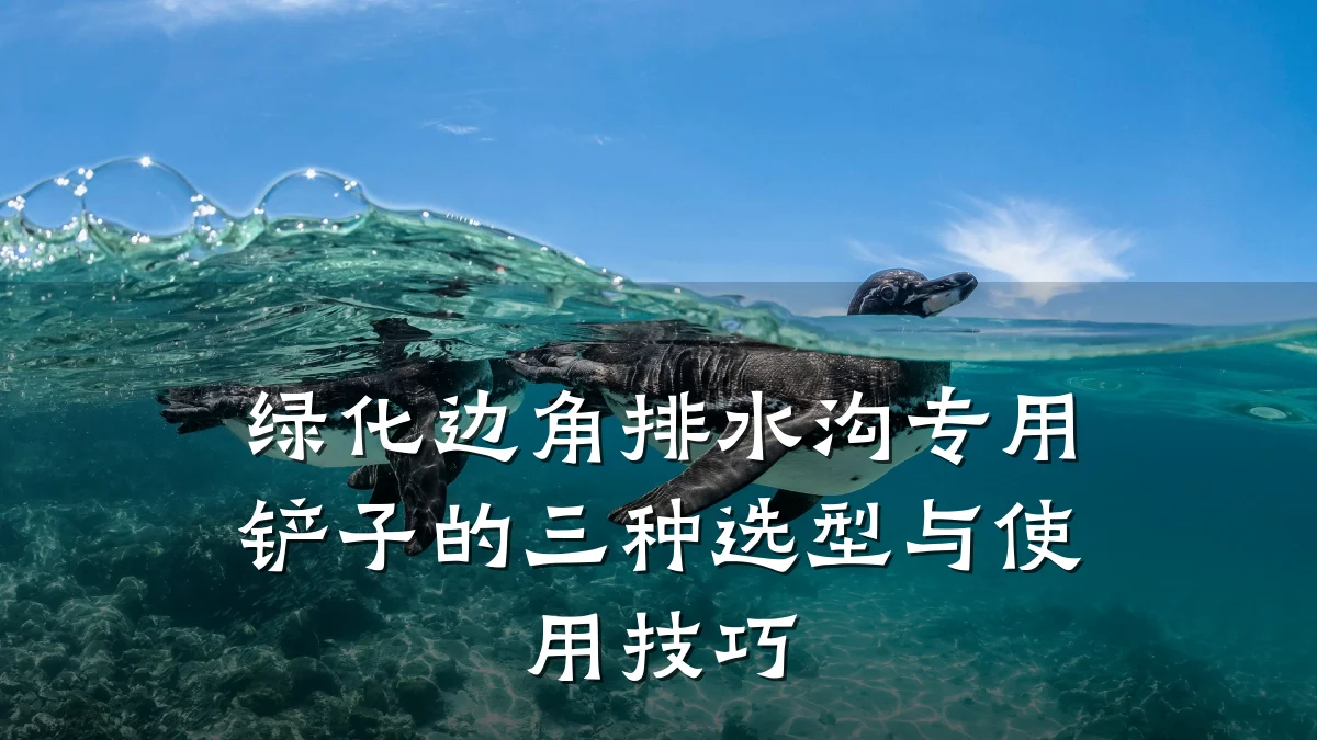 绿化边角排水沟专用铲子的三种选型与使用技巧