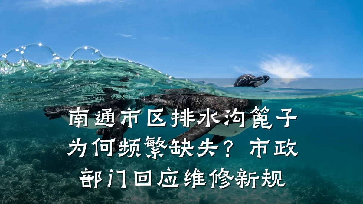 南通市区排水沟篦子为何频繁缺失？市政部门回应维修新规