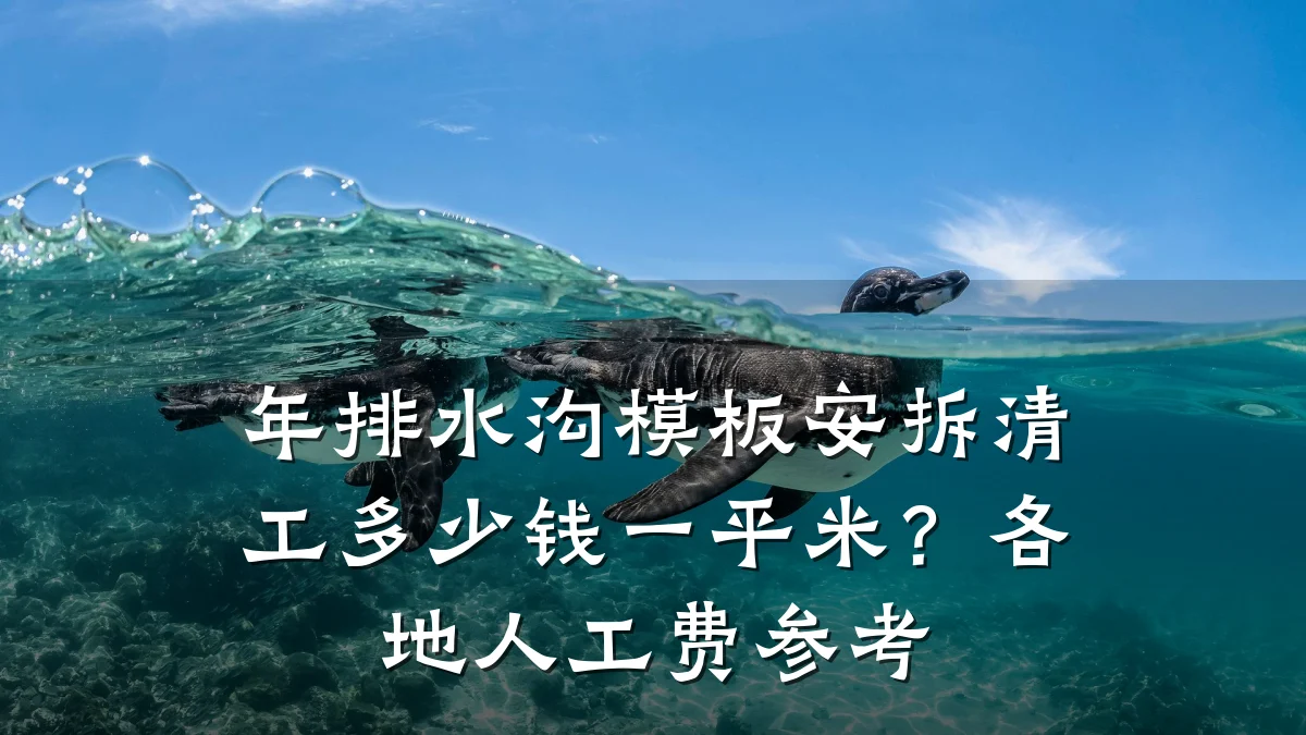 年排水沟模板安拆清工多少钱一平米?各地人工费参考