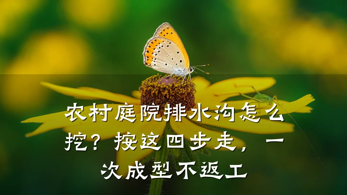 农村庭院排水沟怎么挖？按这四步走，一次成型不返工