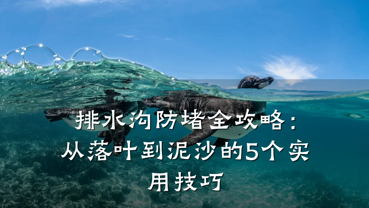 排水沟防堵全攻略:从落叶到泥沙的5个实用技巧