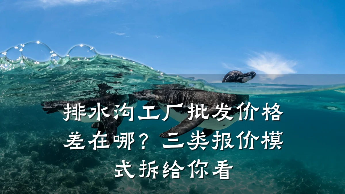 排水沟工厂批发价格差在哪？三类报价模式拆给你看