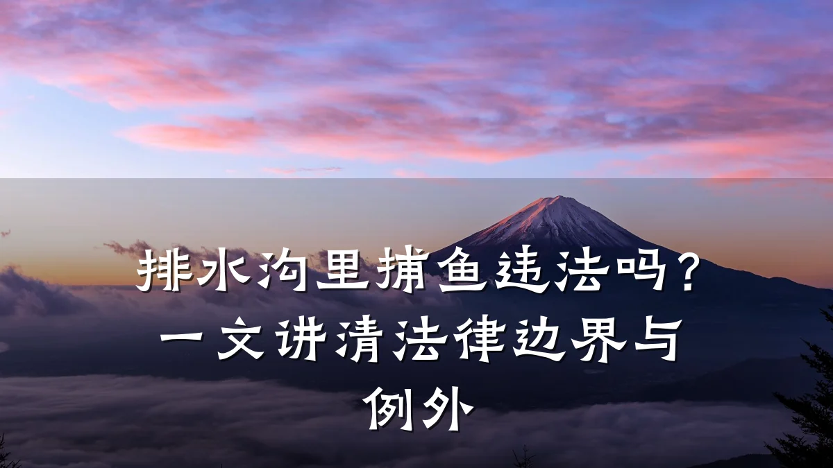 排水沟里捕鱼违法吗？一文讲清法律边界与例外
