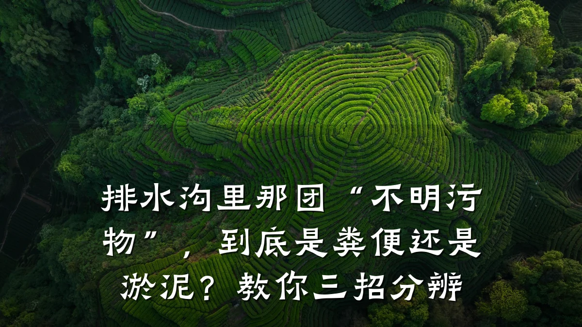 排水沟里那团“不明污物”，到底是粪便还是淤泥？教你三招分辨