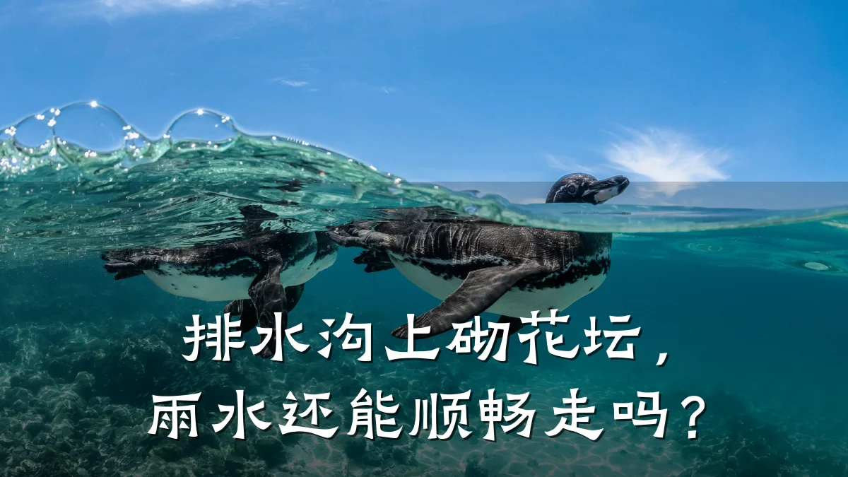 排水沟上砌花坛，雨水还能顺畅走吗？