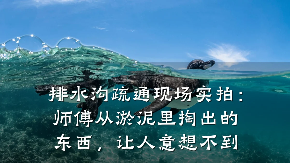 排水沟疏通现场实拍：师傅从淤泥里掏出的东西，让人意想不到