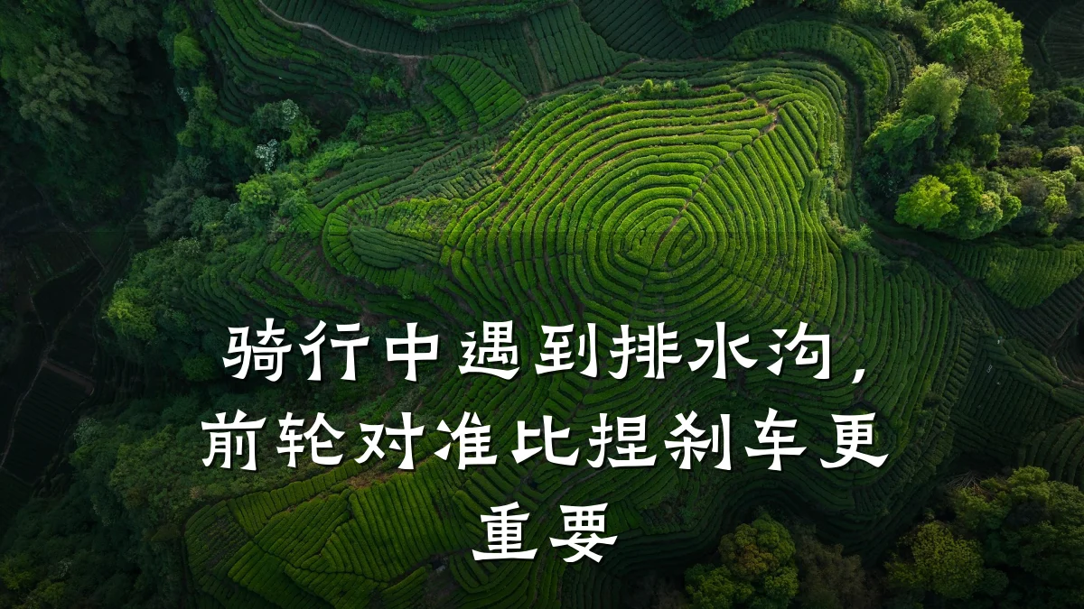 骑行中遇到排水沟,前轮对准比捏刹车更重要