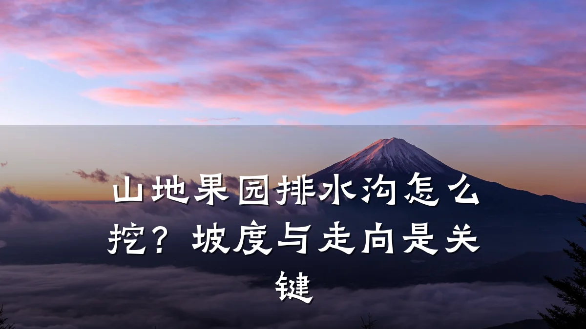 山地果园排水沟怎么挖？坡度与走向是关键