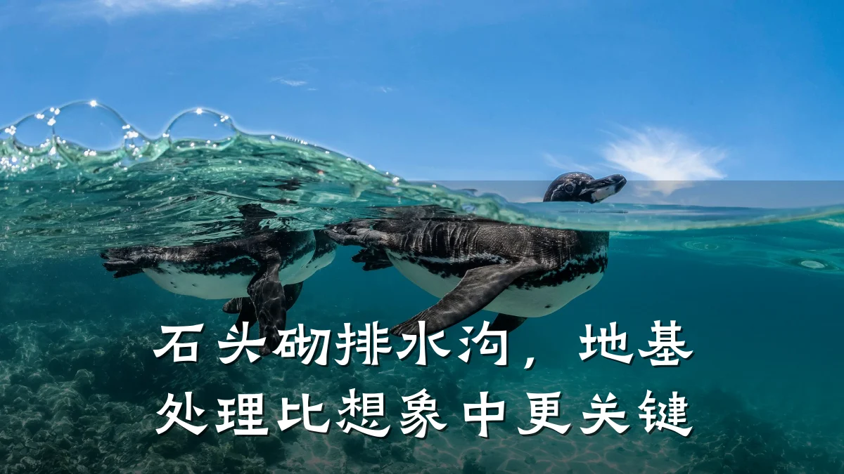 石头砌排水沟,地基处理比想象中更关键