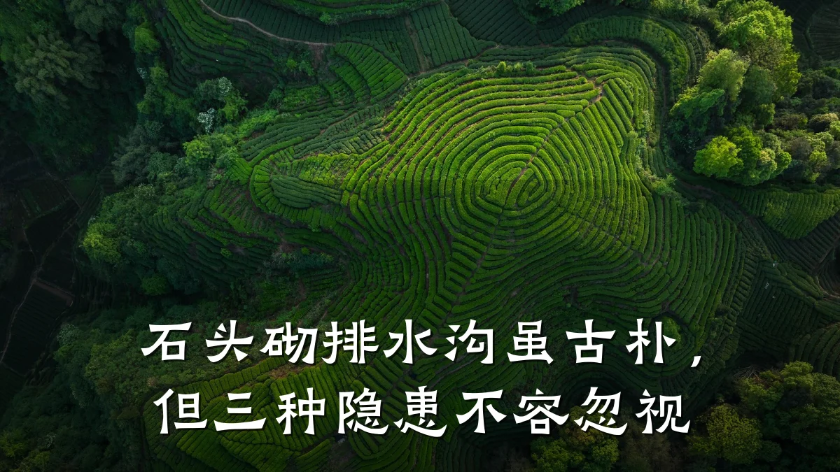 石头砌排水沟虽古朴，但三种隐患不容忽视