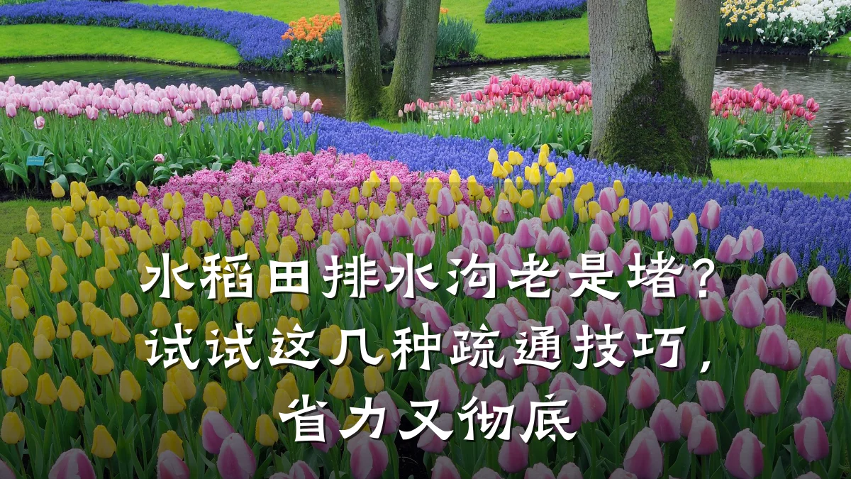 水稻田排水沟老是堵？试试这几种疏通技巧，省力又彻底