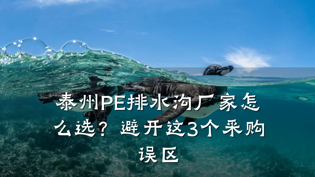 泰州PE排水沟厂家怎么选？避开这3个采购误区