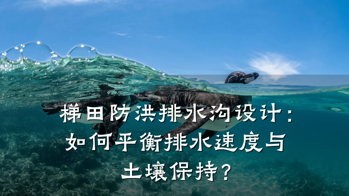 梯田防洪排水沟设计：如何平衡排水速度与土壤保持？