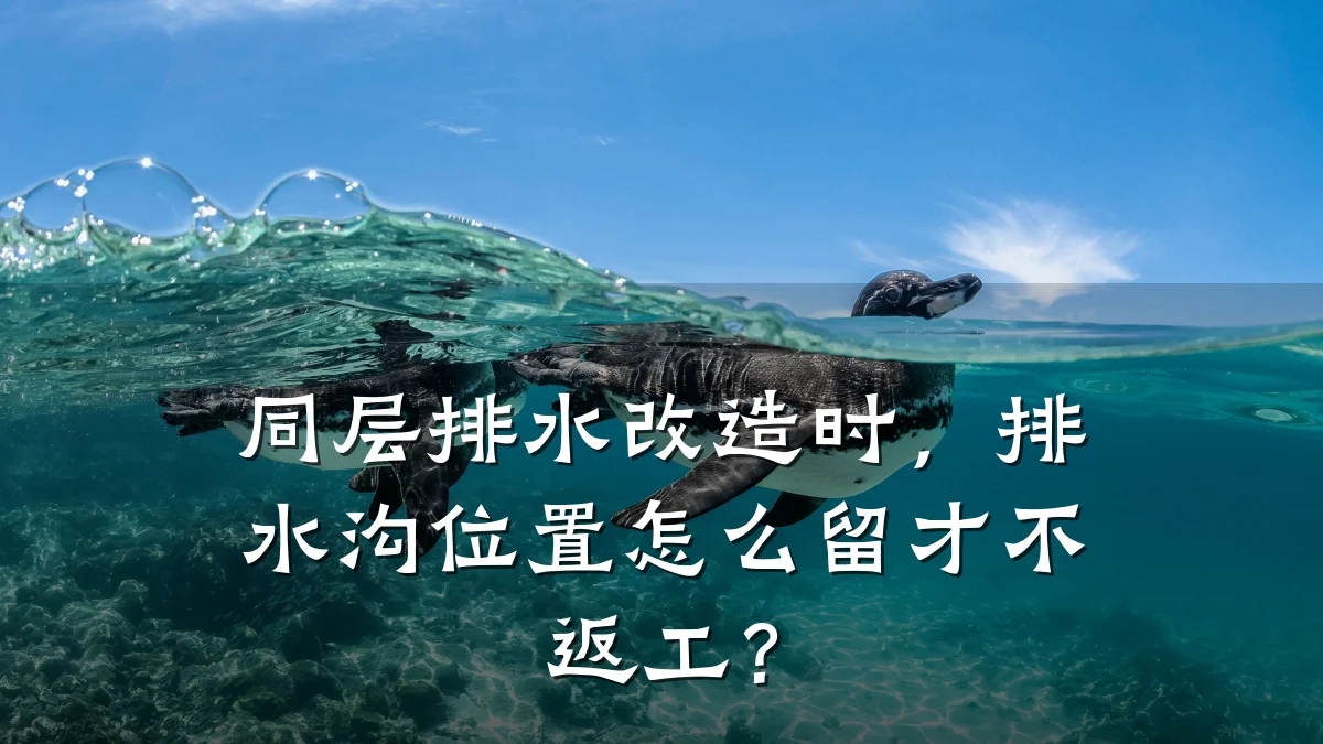 同层排水改造时，排水沟位置怎么留才不返工？