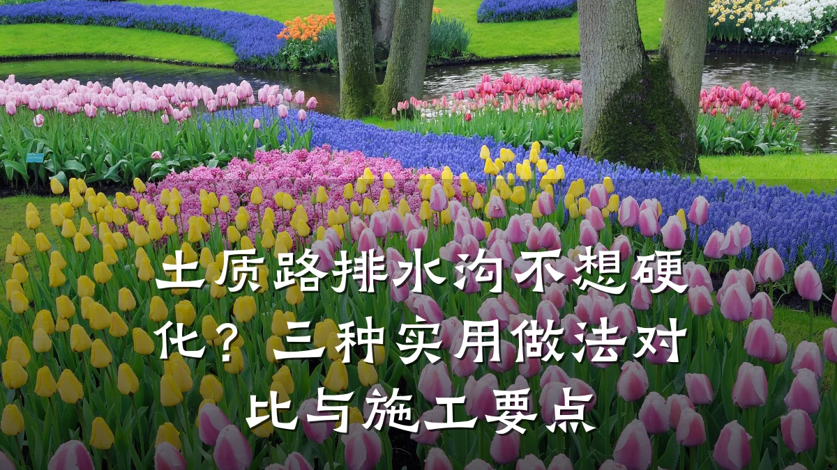 土质路排水沟不想硬化？三种实用做法对比与施工要点