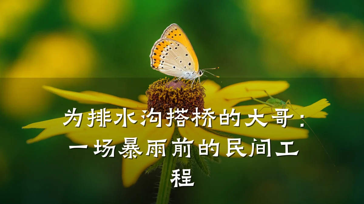 为排水沟搭桥的大哥：一场暴雨前的民间工程