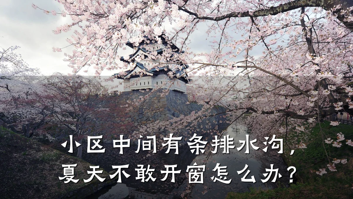 小区中间有条排水沟,夏天不敢开窗怎么办?