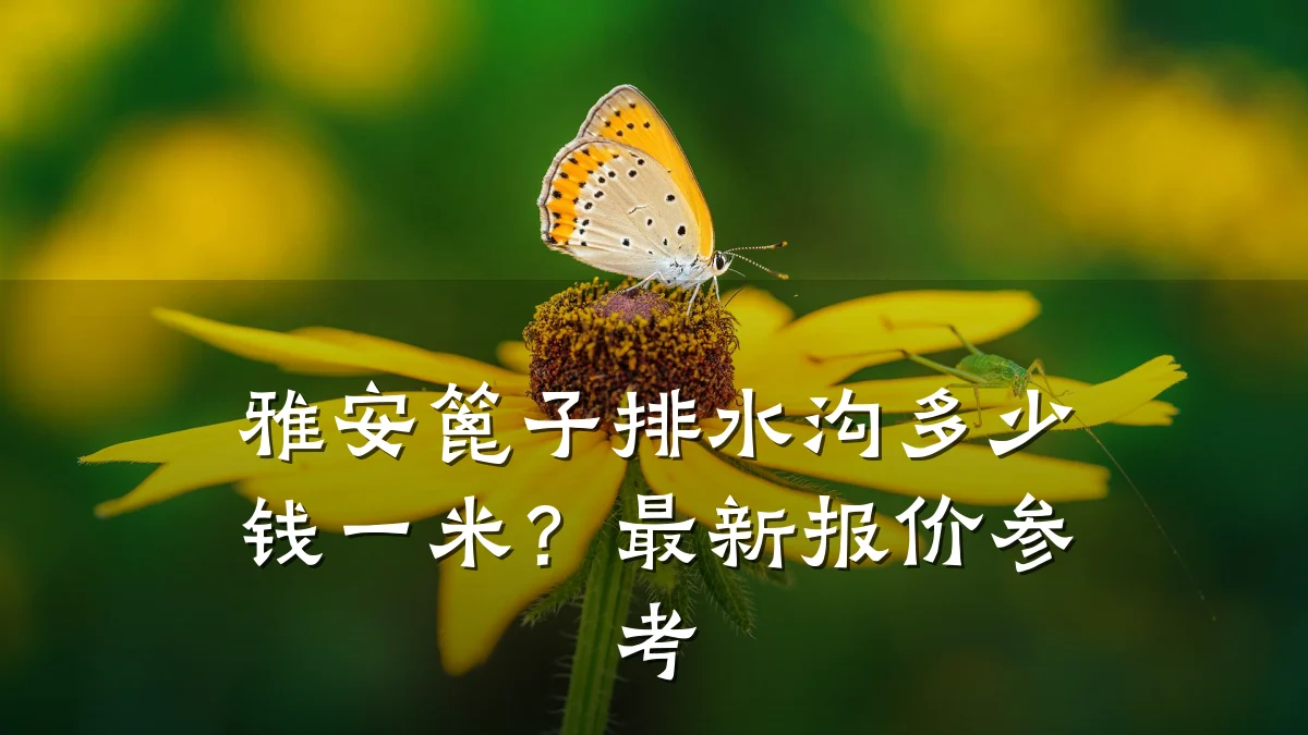 雅安篦子排水沟多少钱一米?最新报价参考