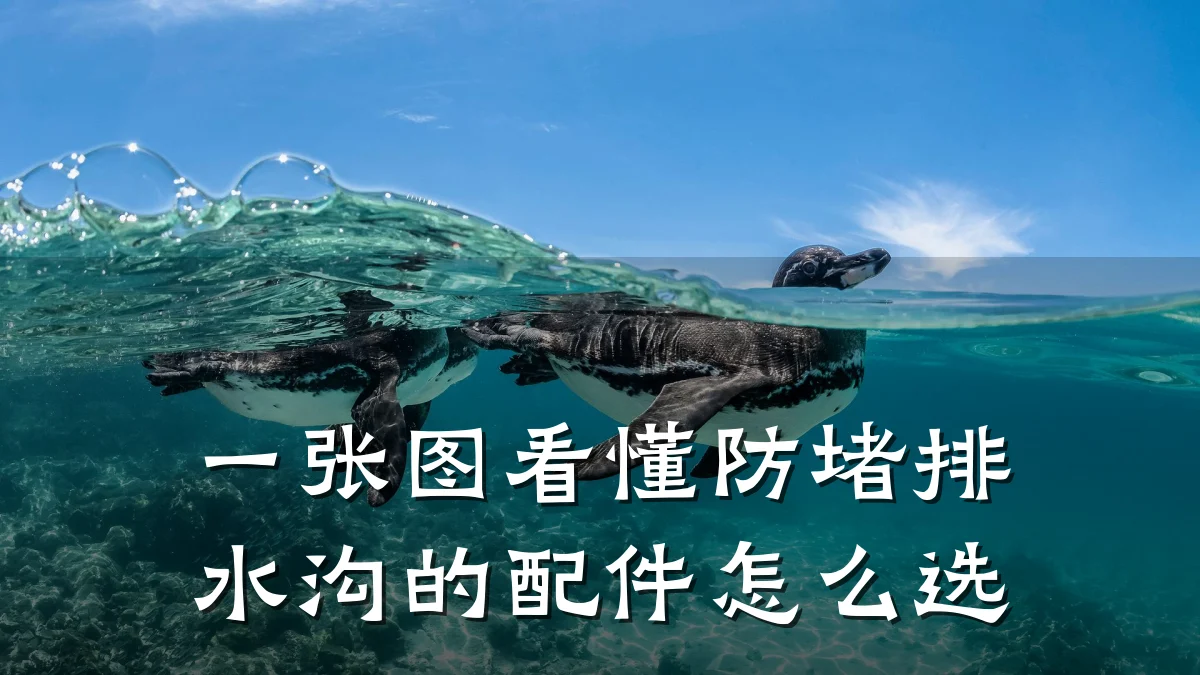 一张图看懂防堵排水沟的配件怎么选