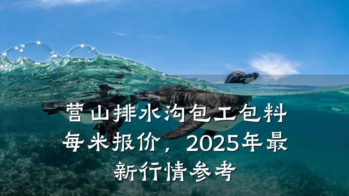 营山排水沟包工包料每米报价，2025年最新行情参考
