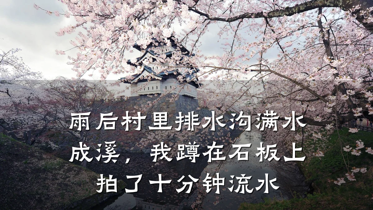 雨后村里排水沟满水成溪，我蹲在石板上拍了十分钟流水