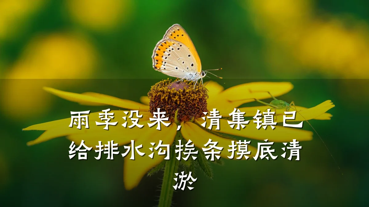 雨季没来，清集镇已给排水沟挨条摸底清淤