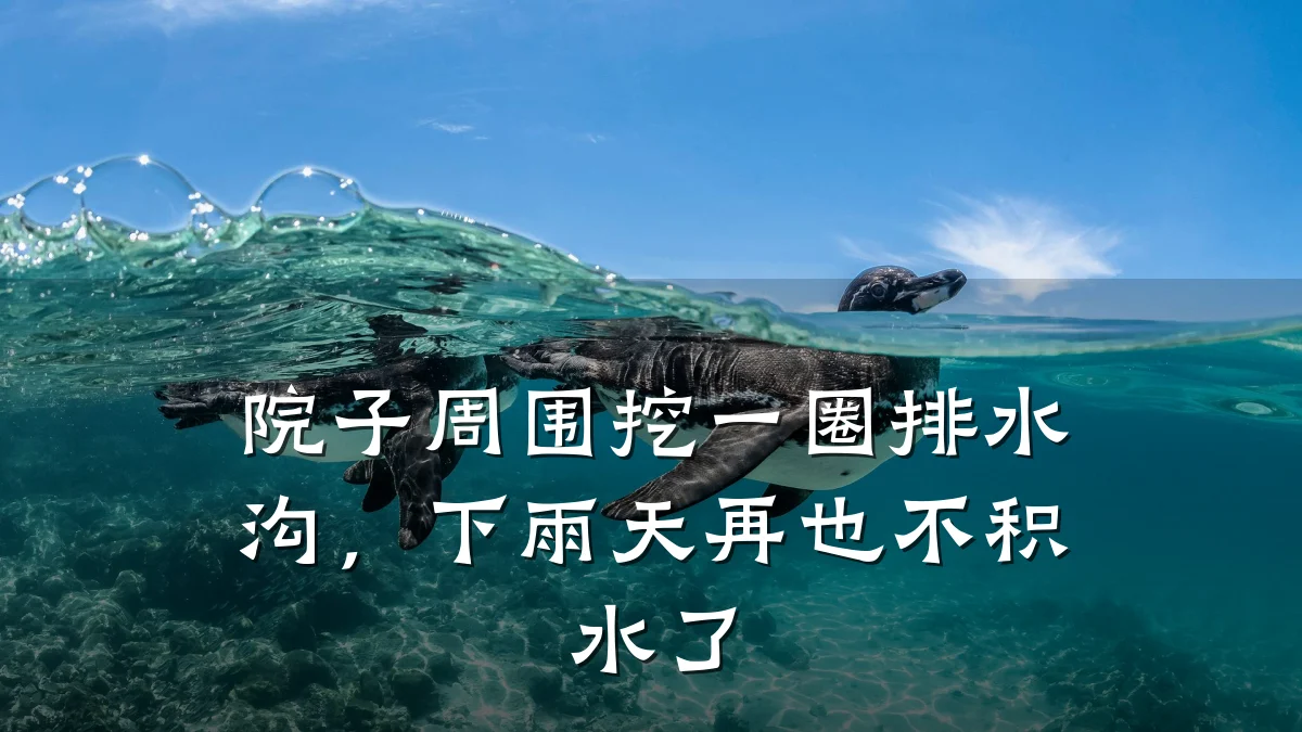 院子周围挖一圈排水沟，下雨天再也不积水了