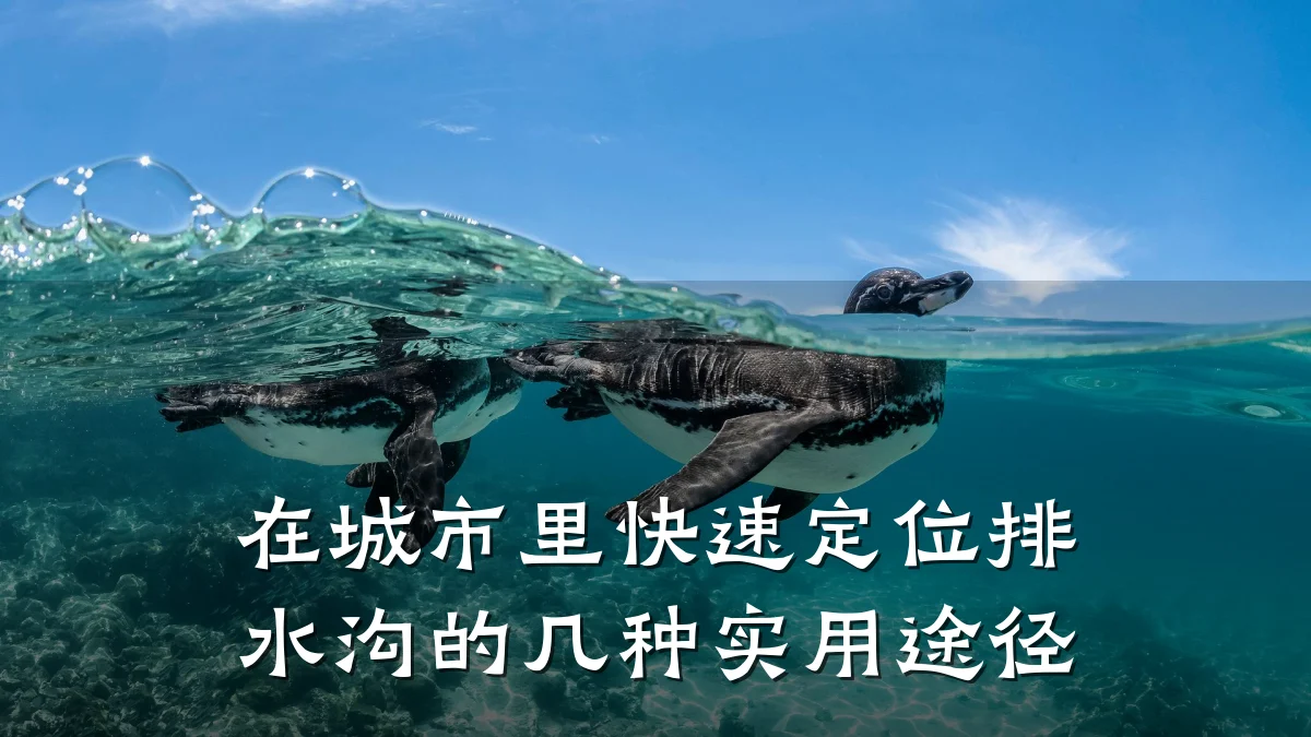 在城市里快速定位排水沟的几种实用途径