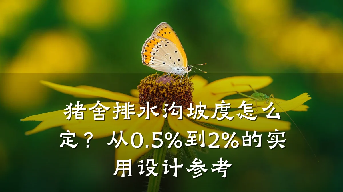 猪舍排水沟坡度怎么定？从0.5%到2%的实用设计参考