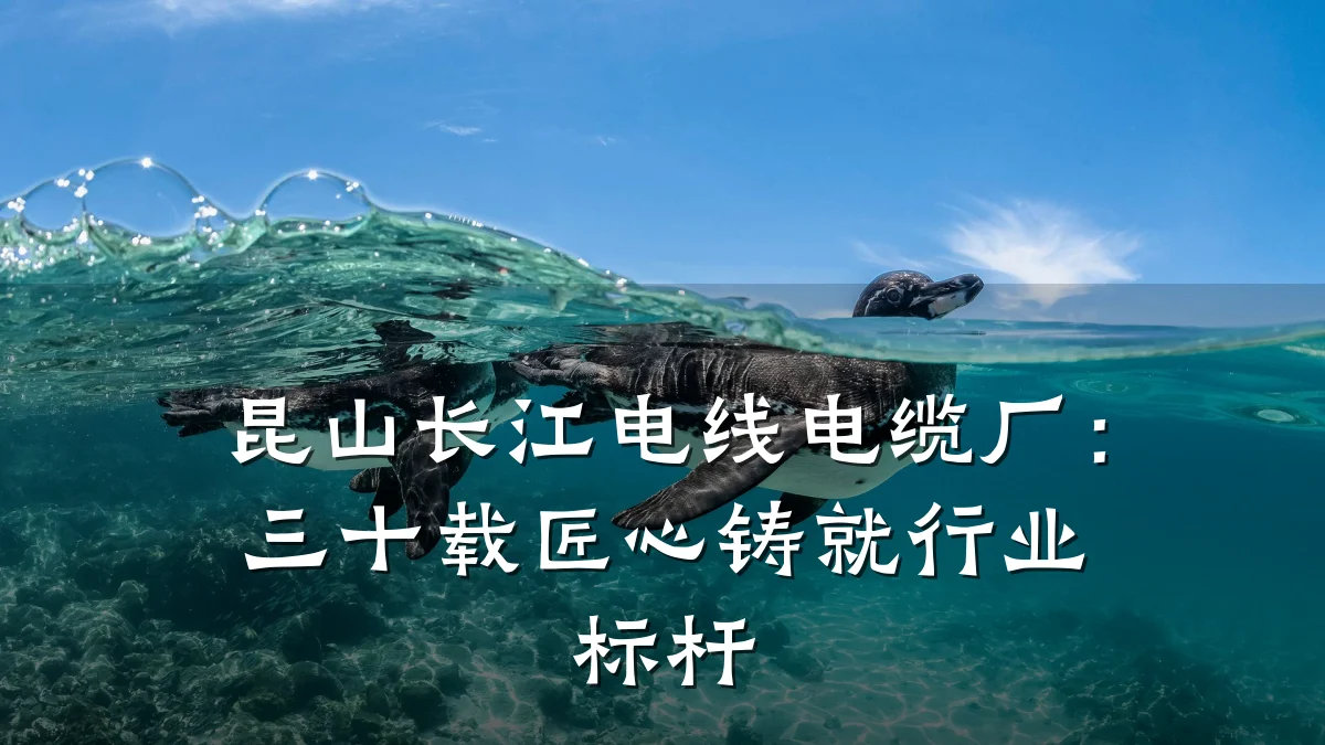 昆山长江电线电缆厂:三十载匠心铸就行业标杆
