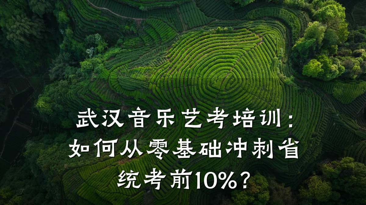 武汉音乐艺考培训:如何从零基础冲刺省统考前10%?