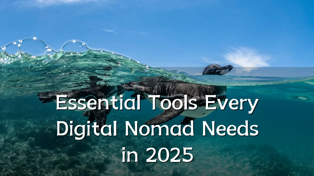 Essential Tools Every Digital Nomad Needs in 2025
