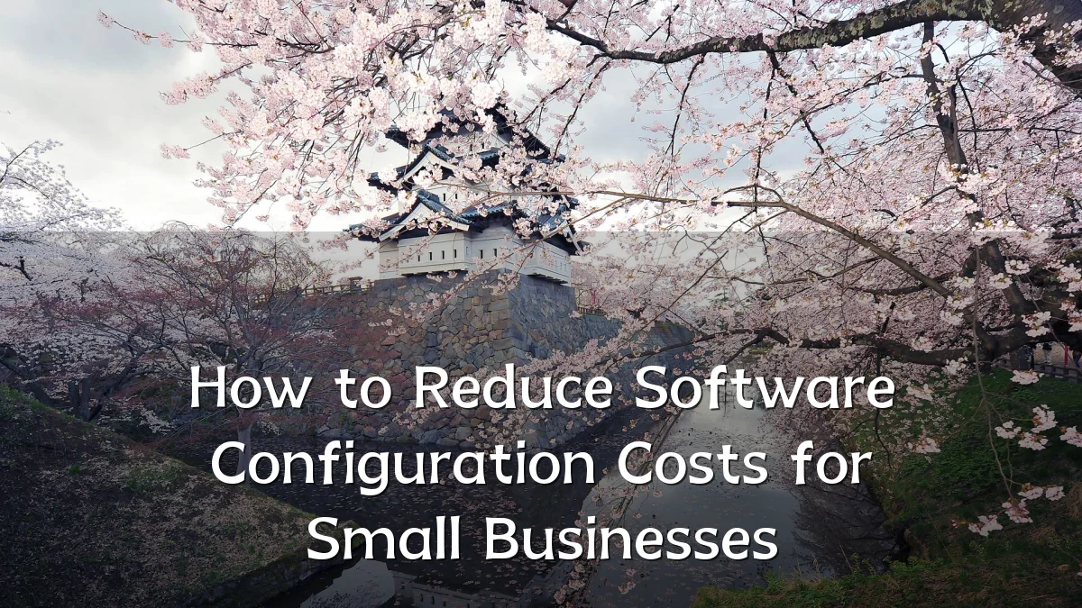How to Reduce Software Configuration Costs for Small Businesses