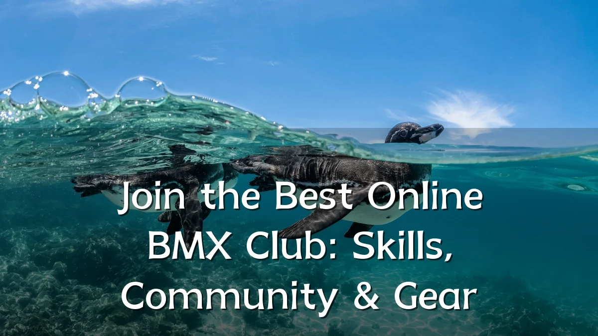 Join the Best Online BMX Club: Skills, Community & Gear