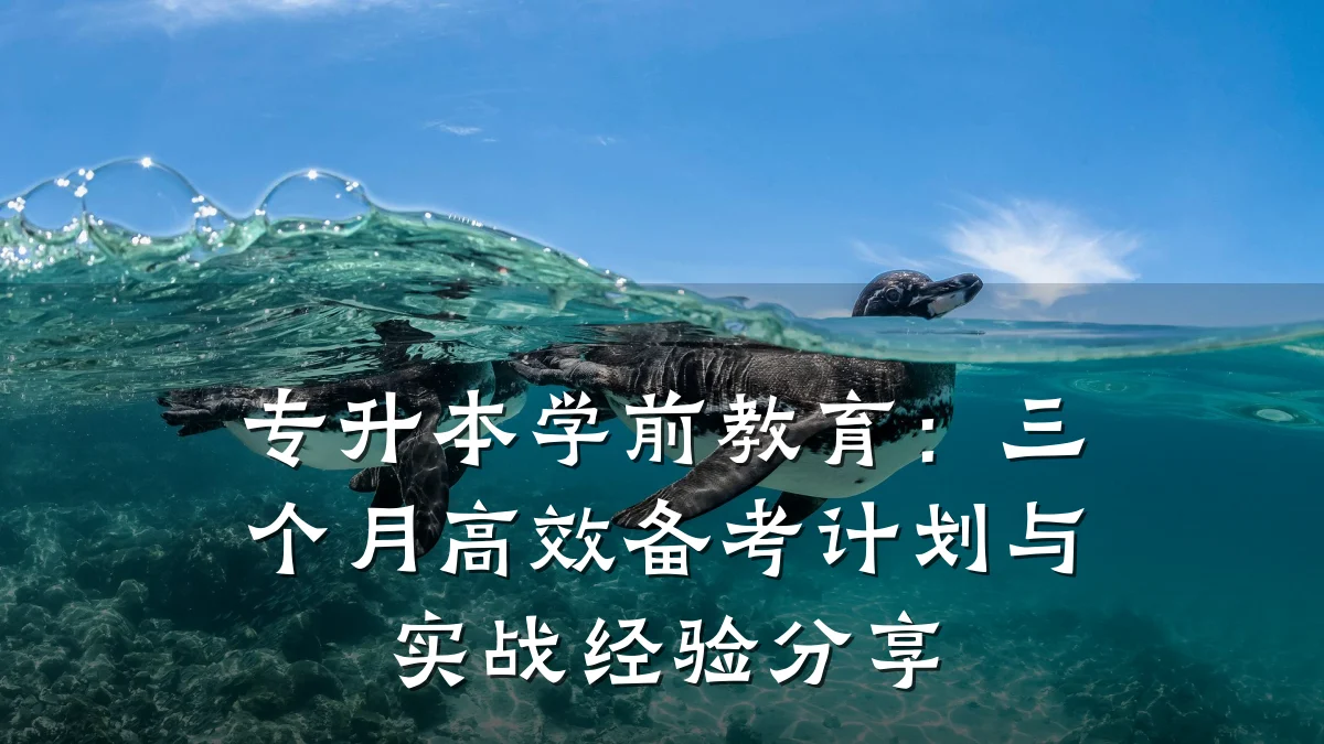 专升本学前教育:三个月高效备考计划与实战经验分享