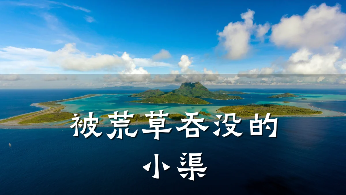 被荒草吞没的小渠