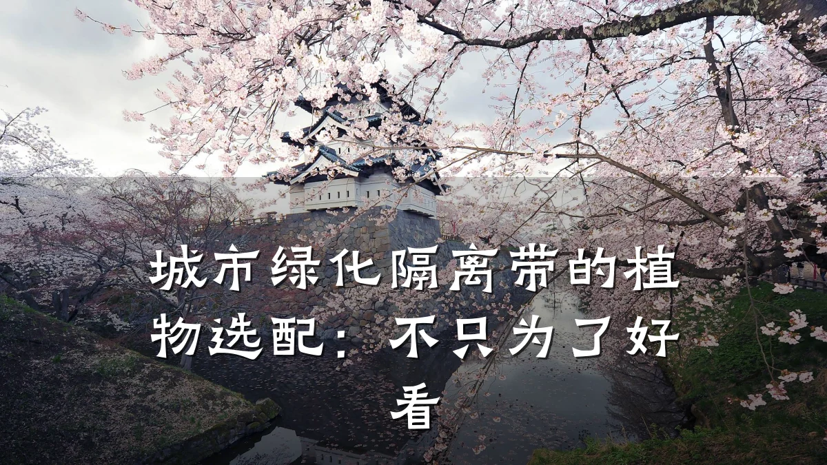 城市绿化隔离带的植物选配:不只为了好看