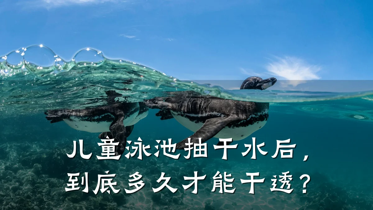 儿童泳池抽干水后,到底多久才能干透?