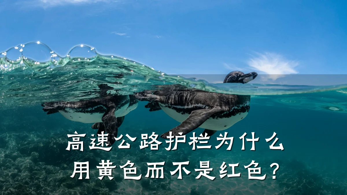 高速公路护栏为什么用黄色而不是红色?