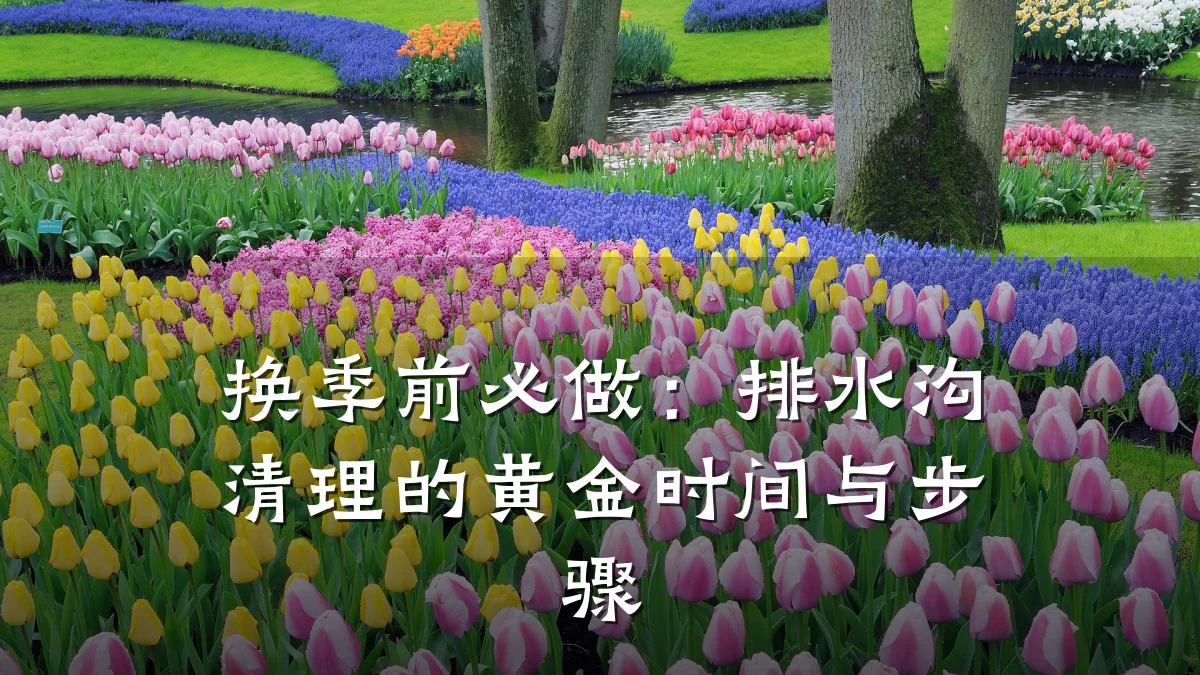 换季前必做:排水沟清理的黄金时间与步骤