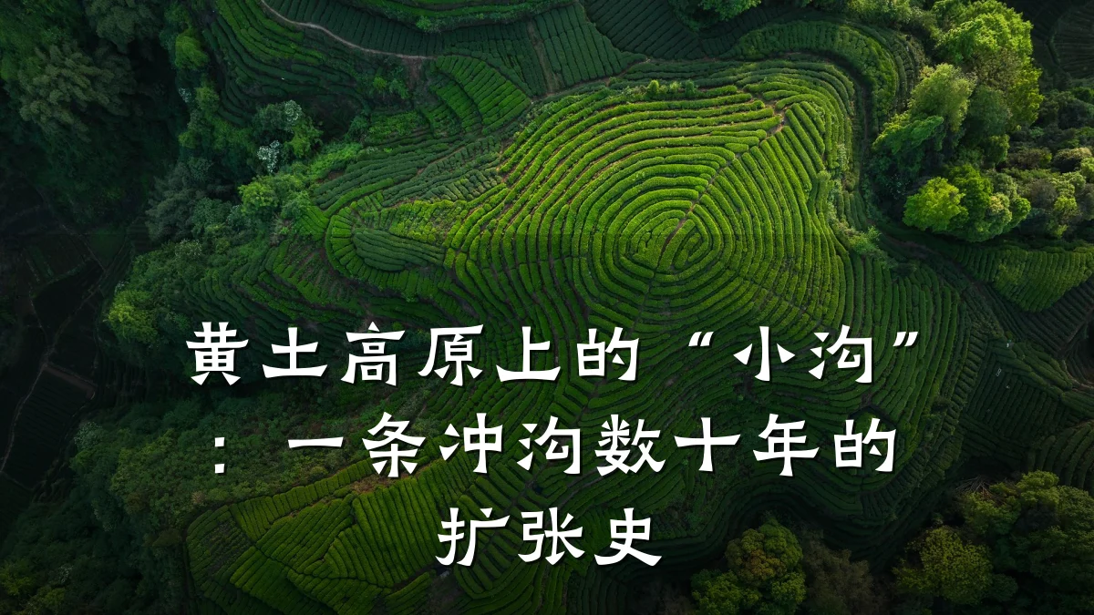黄土高原上的“小沟”：一条冲沟数十年的扩张史